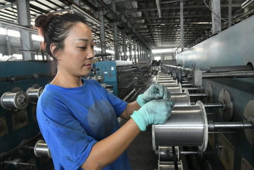 江苏港缆新材料 铝合金工艺全国领先，金属制品研发引领行业